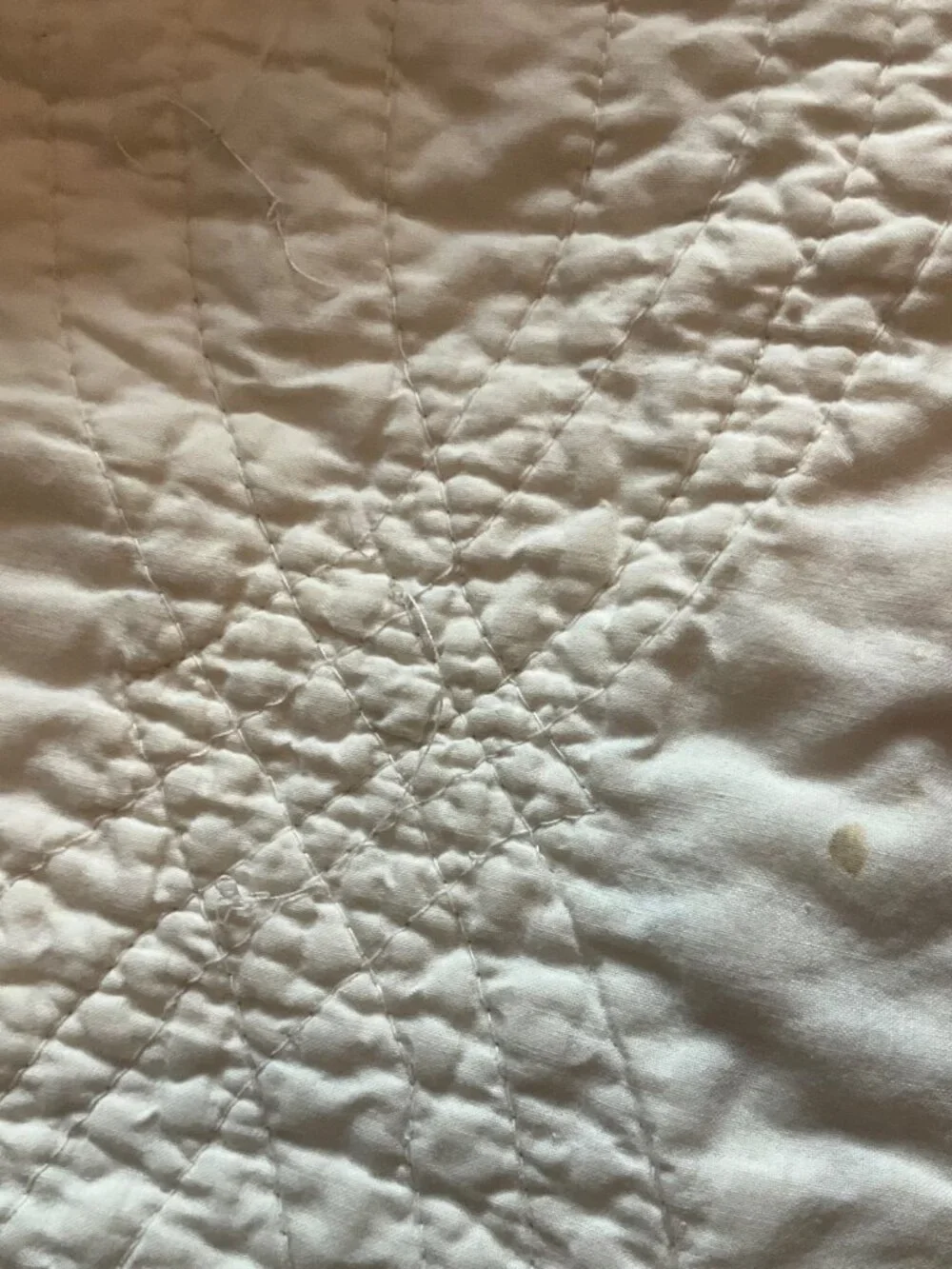 Home Classics Queen/Full Floral Embroidered Reversible Quilt Shams Set Cotton*